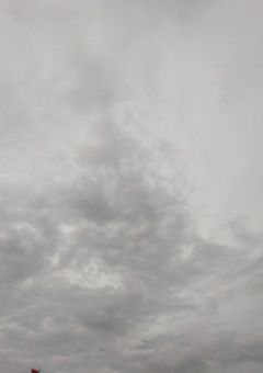 拾われた私、なぜか愛されました