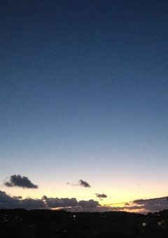 私は家族の敵を取るために鬼殺隊に入りました