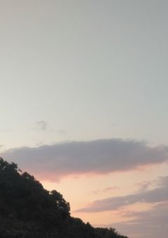 ざつだん☆友達になろ