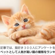 陽菜さんのアイコン画像