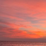 TAMax0205さんのアイコン画像