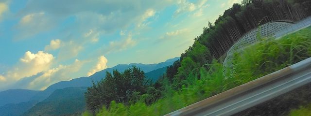 むに ꒰ঌʕ•ᴥ•ʔ໒꒱  🧡🩵さんの壁紙画像