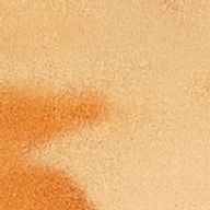 理佳さんのアイコン画像