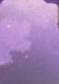 文ストキャラが転生したらみんな学生だったんだが！？