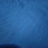 紗蘭さんのアイコン画像