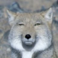 千柊さんのアイコン画像