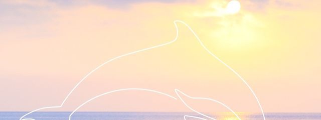 雪島ゆい❄️さんの壁紙画像
