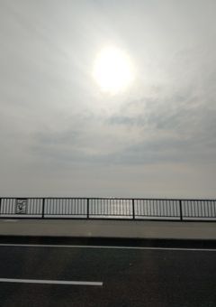 オレンジサワーの旅行記