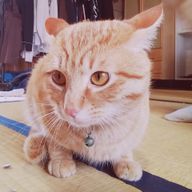 みのさんのアイコン画像