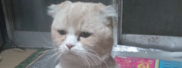 みかん太郎🍊さんの壁紙画像
