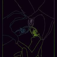 綾華  🐾🐐🗝🎧 さんのアイコン画像