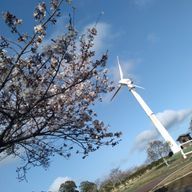 冬ノ穹。さんのアイコン画像