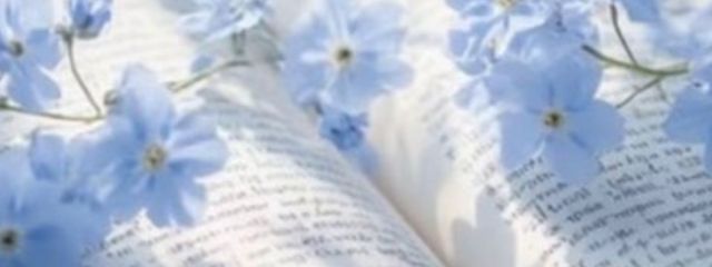 芴鳥 愛さんの壁紙画像