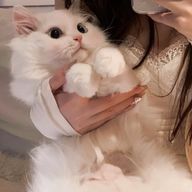Ui♡⃡︎さんのアイコン画像