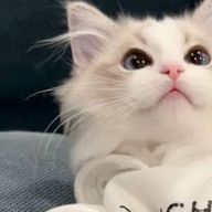 ゆゆゆさんのアイコン画像