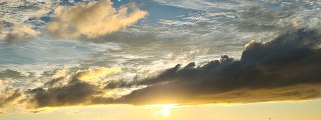 紫苑さんの壁紙画像