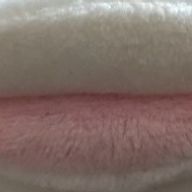 Fさくらさんのアイコン画像