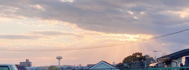 Reinaさんの壁紙画像