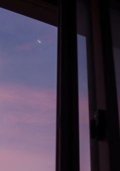 精神病を患っていたのは桃くんでした