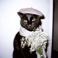 林檎さんのアイコン画像