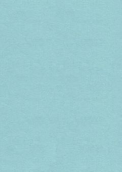 　@　　STUDY　RECORD　　