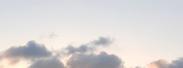 青華そら🧸👑🪄さんの壁紙画像