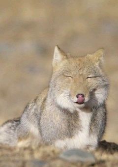 模写しかできないよー😭