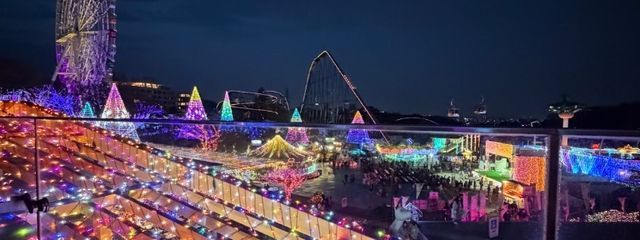 真実に気づいた🦊🫶💗さんの壁紙画像