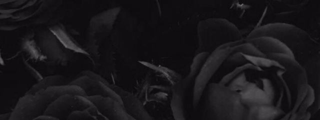 -MIRA-さんの壁紙画像