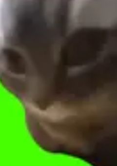 ななしのはなし