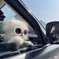 kikiᡣ𐭩∗*ﾟさんのアイコン画像