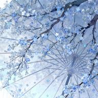 みなせさんのアイコン画像