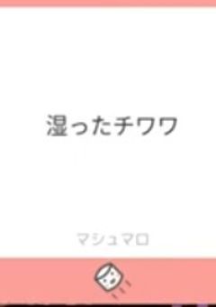 ＃湿ったチワワ