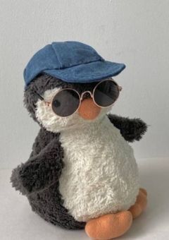 お友達ぼしゅー