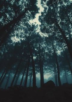 Dead by Daylight