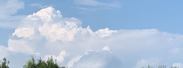花宮　結　(はなみや　ゆい)さんの壁紙画像
