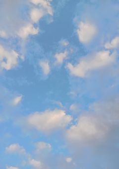 新しくできた義兄弟と義理の従兄弟に溺愛されてます。