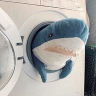 鮫鯨2さんのアイコン画像