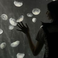      루리   ˚₊·—̳͟͞͞♡さんのアイコン画像