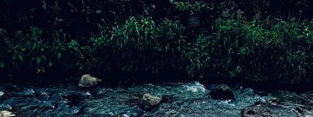 ももさんの壁紙画像