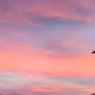 Momokaさんのアイコン画像