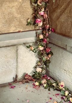 ᴍʏ ᴘʟᴀʏʟɪꜱᴛ ✩.*˚