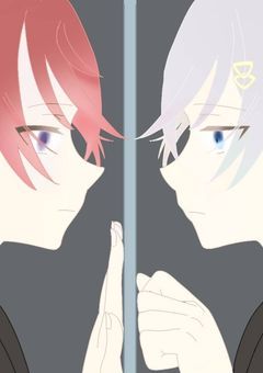 双子は同じじゃなきゃダメですか?