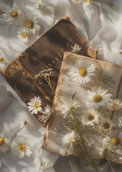 いらすとる〜む .ᐟ