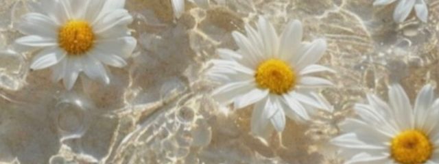 Ruco.(るこ)さんの壁紙画像