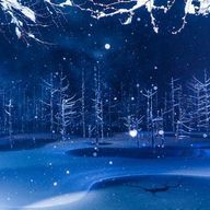 Rentoさんのアイコン画像