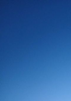 不 思 議 な 人 形 屋 さ ん と そ の 人 形 達