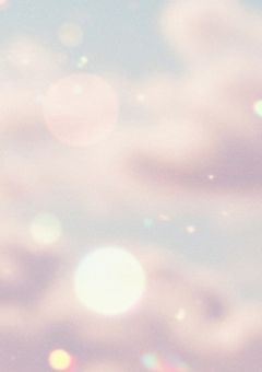 恋 す る く ま の 賞 味 期 限