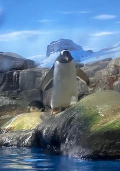 今まで作ってきたアイコンたち晒すよー