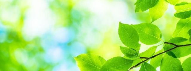 莠椎#めんへら🦕さんの壁紙画像